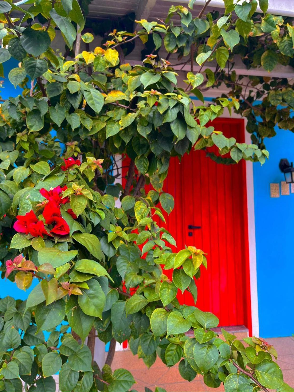 Hostal Pequi *